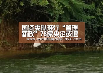 爱游戏棋牌