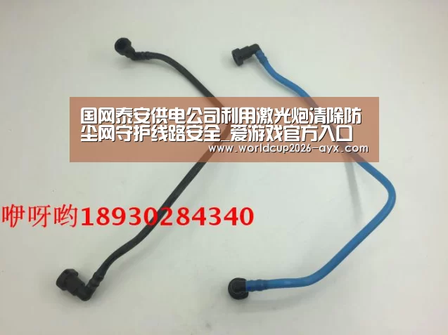 爱游戏app
