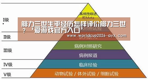 爱游戏官方入口