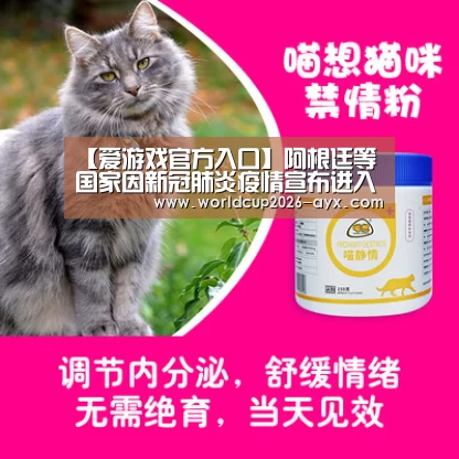 爱游戏官方入口