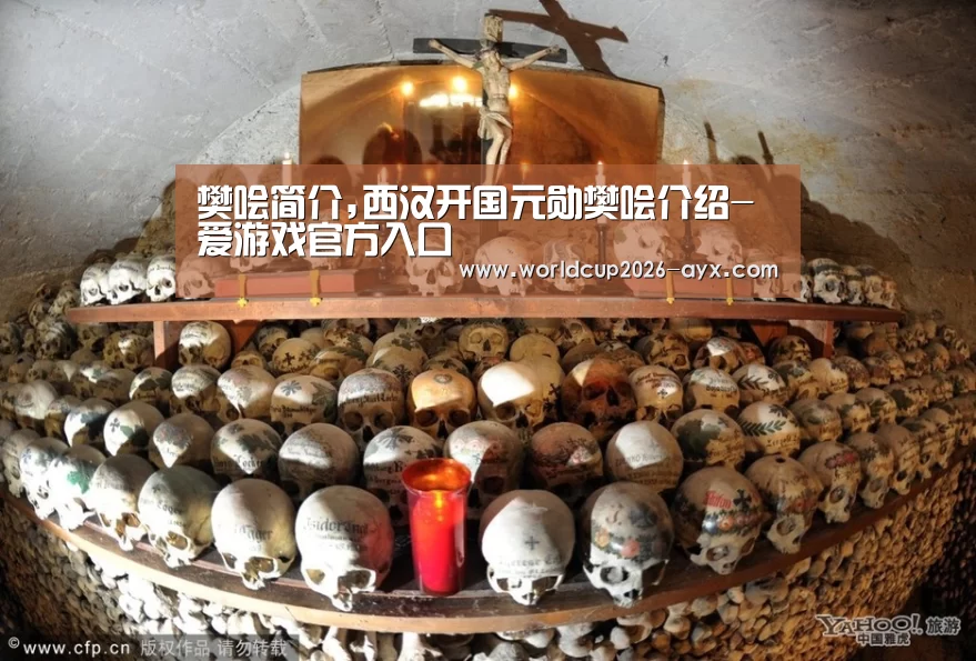 爱游戏棋牌