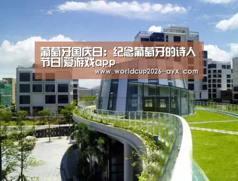 爱游戏棋牌