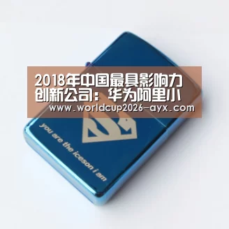 2018年中国最具影响力创新公司：华为阿