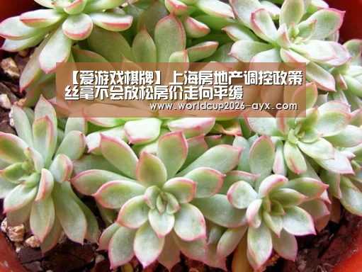 爱游戏体育官网