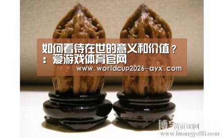 爱游戏官方入口
