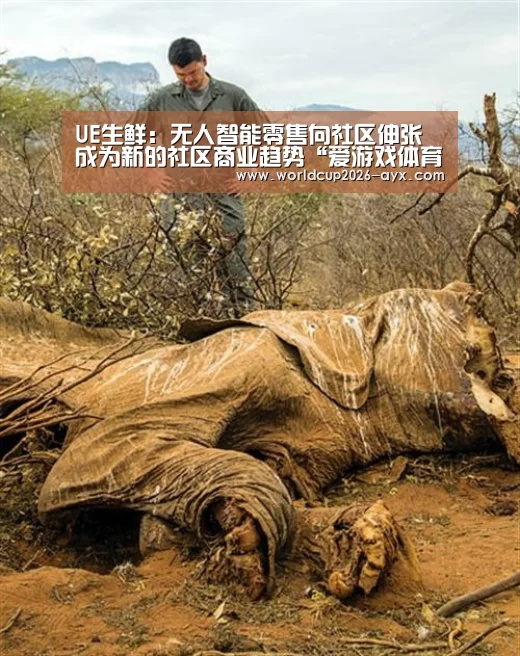 爱游戏棋牌